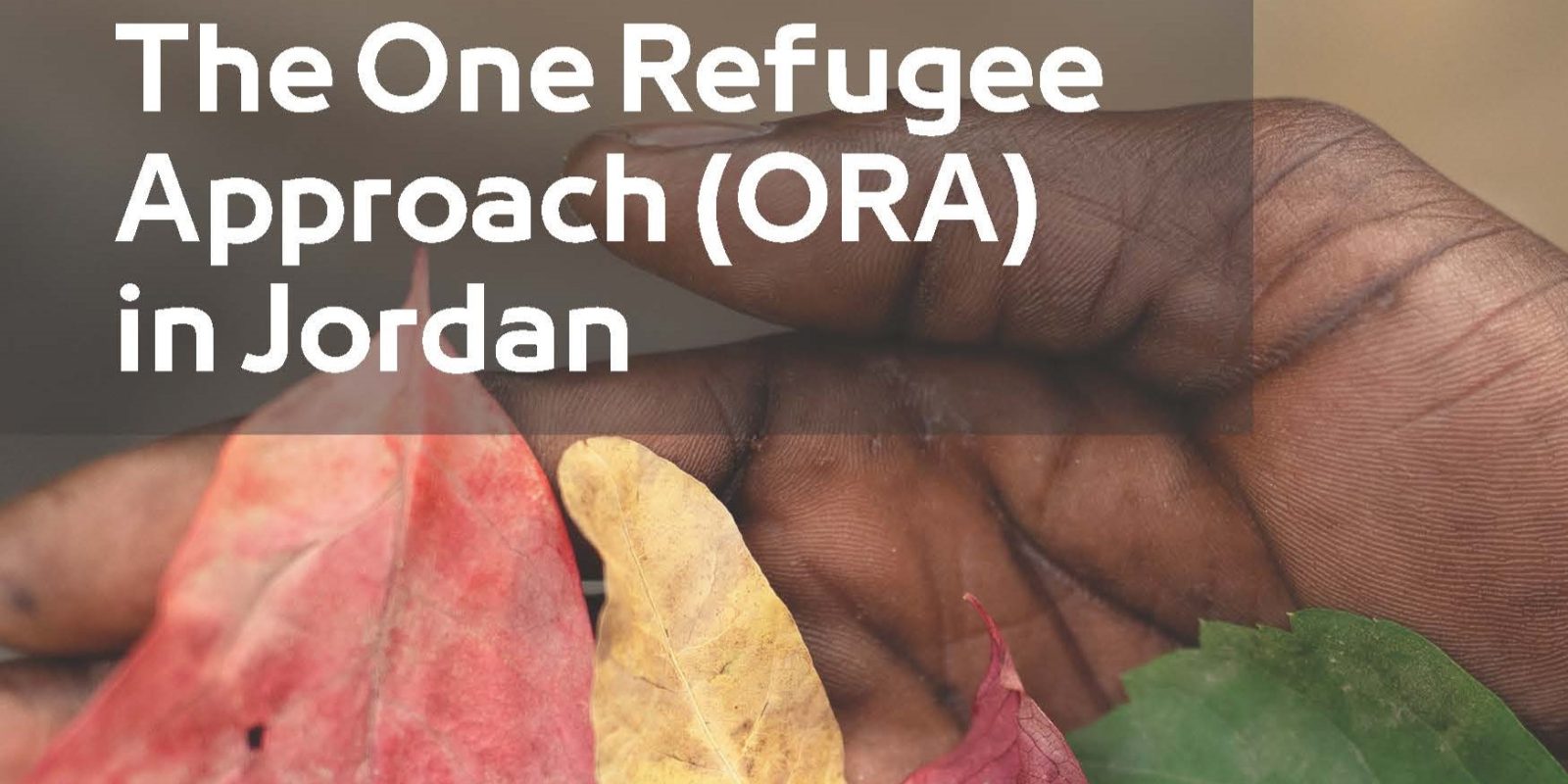 cover ORAWG Briefing Notes 2025_The One Refugee Approach in Jordan.pdf